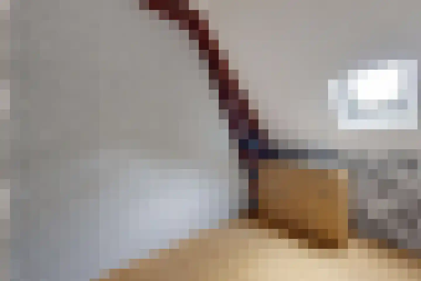 Bredaschedijk 4 Zevenbergschen Hoek thumbnail 50