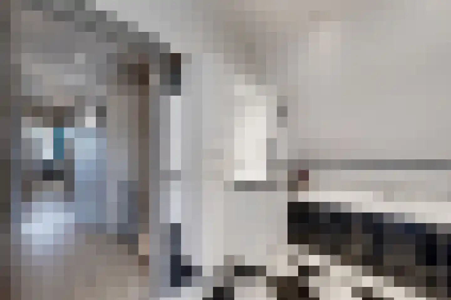 Bredaschedijk 4 Zevenbergschen Hoek thumbnail 51