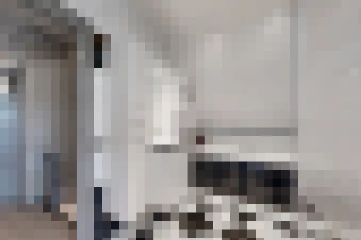 Bredaschedijk 4 Zevenbergschen Hoek thumbnail 52