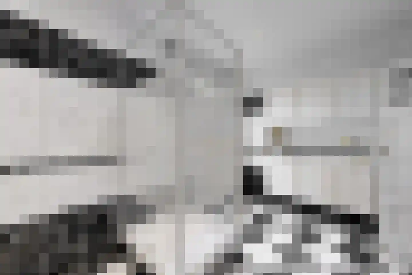 Bredaschedijk 4 Zevenbergschen Hoek thumbnail 54