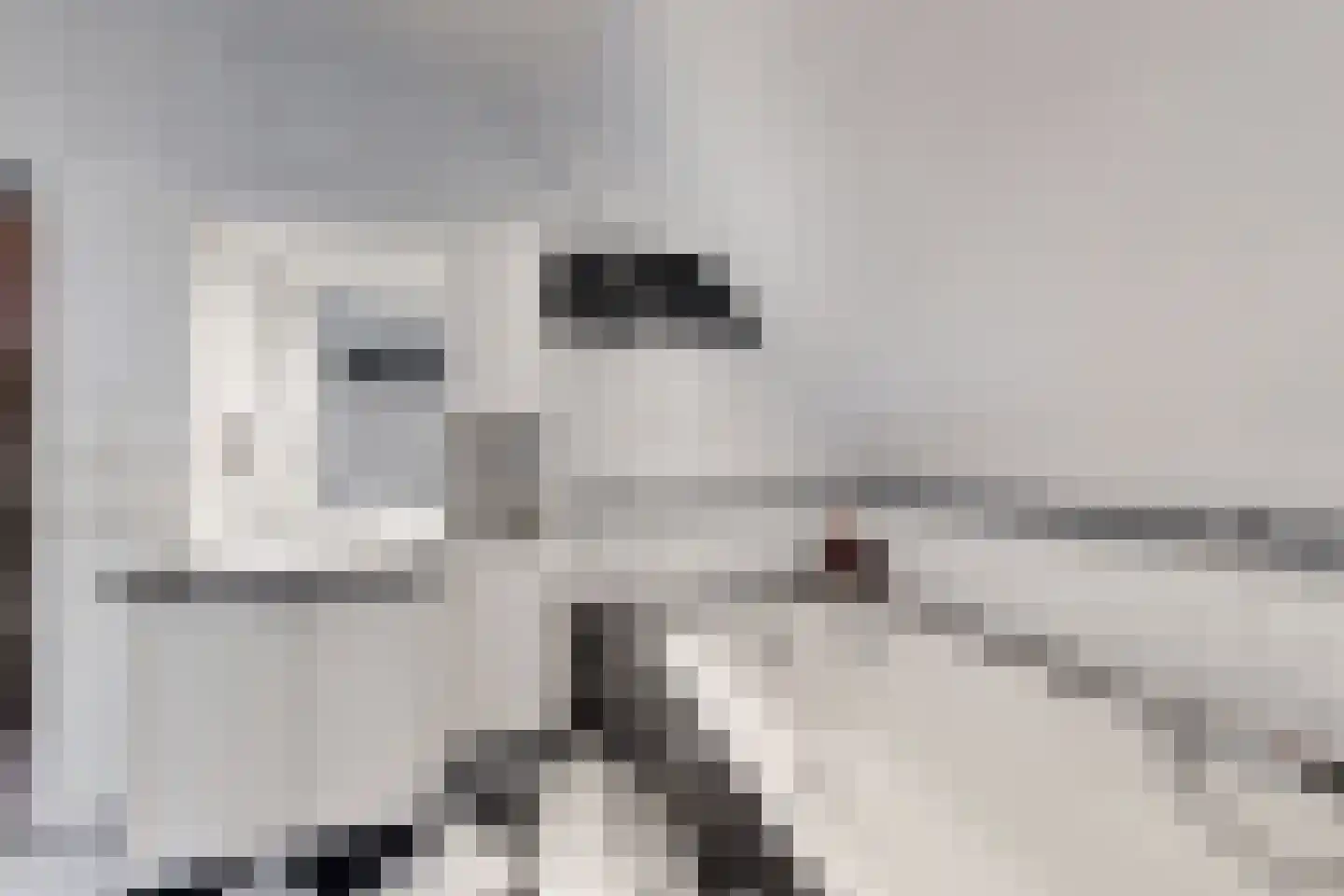 Bredaschedijk 4 Zevenbergschen Hoek thumbnail 55