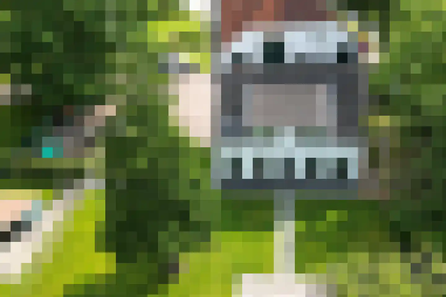 Bredaschedijk 4 Zevenbergschen Hoek thumbnail 68