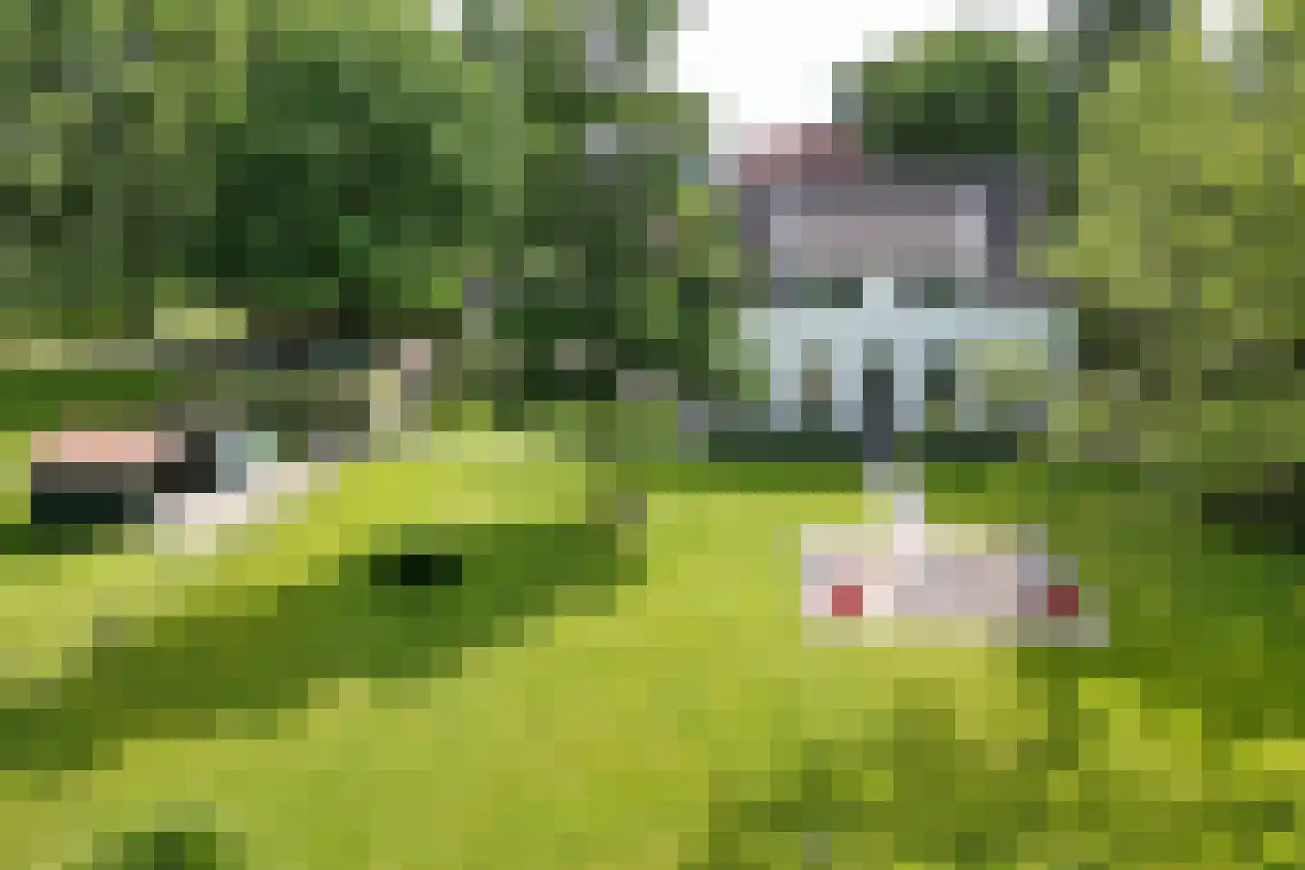 Bredaschedijk 4 Zevenbergschen Hoek thumbnail 69