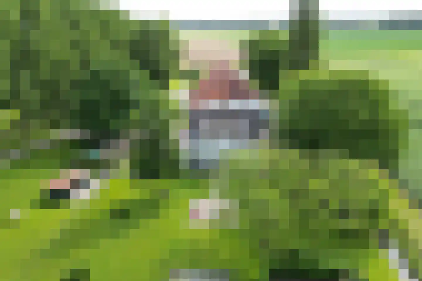 Bredaschedijk 4 Zevenbergschen Hoek thumbnail 70