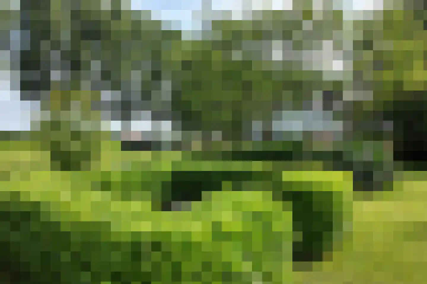 Bredaschedijk 4 Zevenbergschen Hoek thumbnail 71