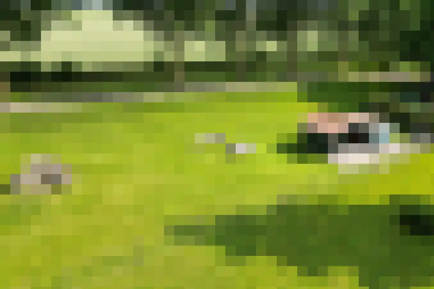 Bredaschedijk 4 Zevenbergschen Hoek thumbnail 74