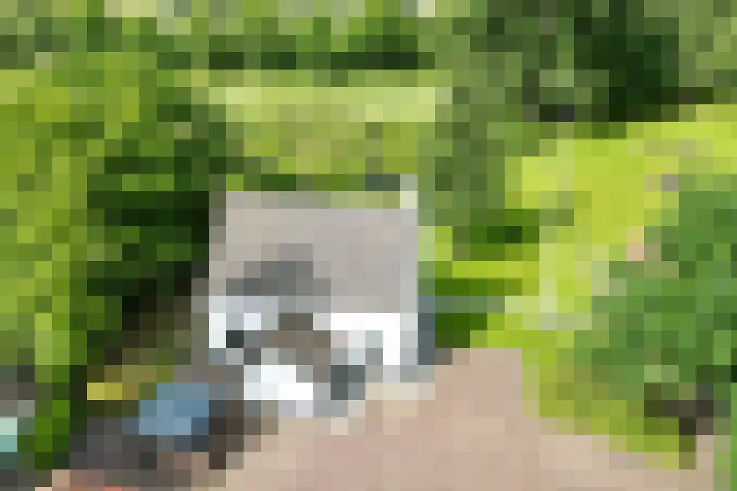 Bredaschedijk 4 Zevenbergschen Hoek thumbnail 75