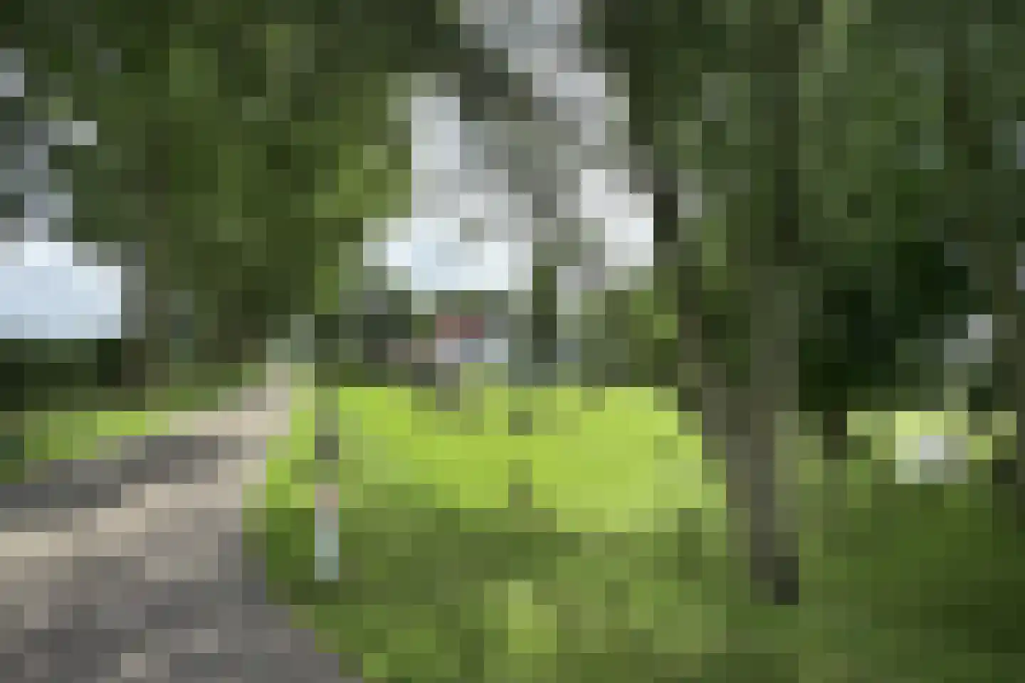 Bredaschedijk 4 Zevenbergschen Hoek thumbnail 76