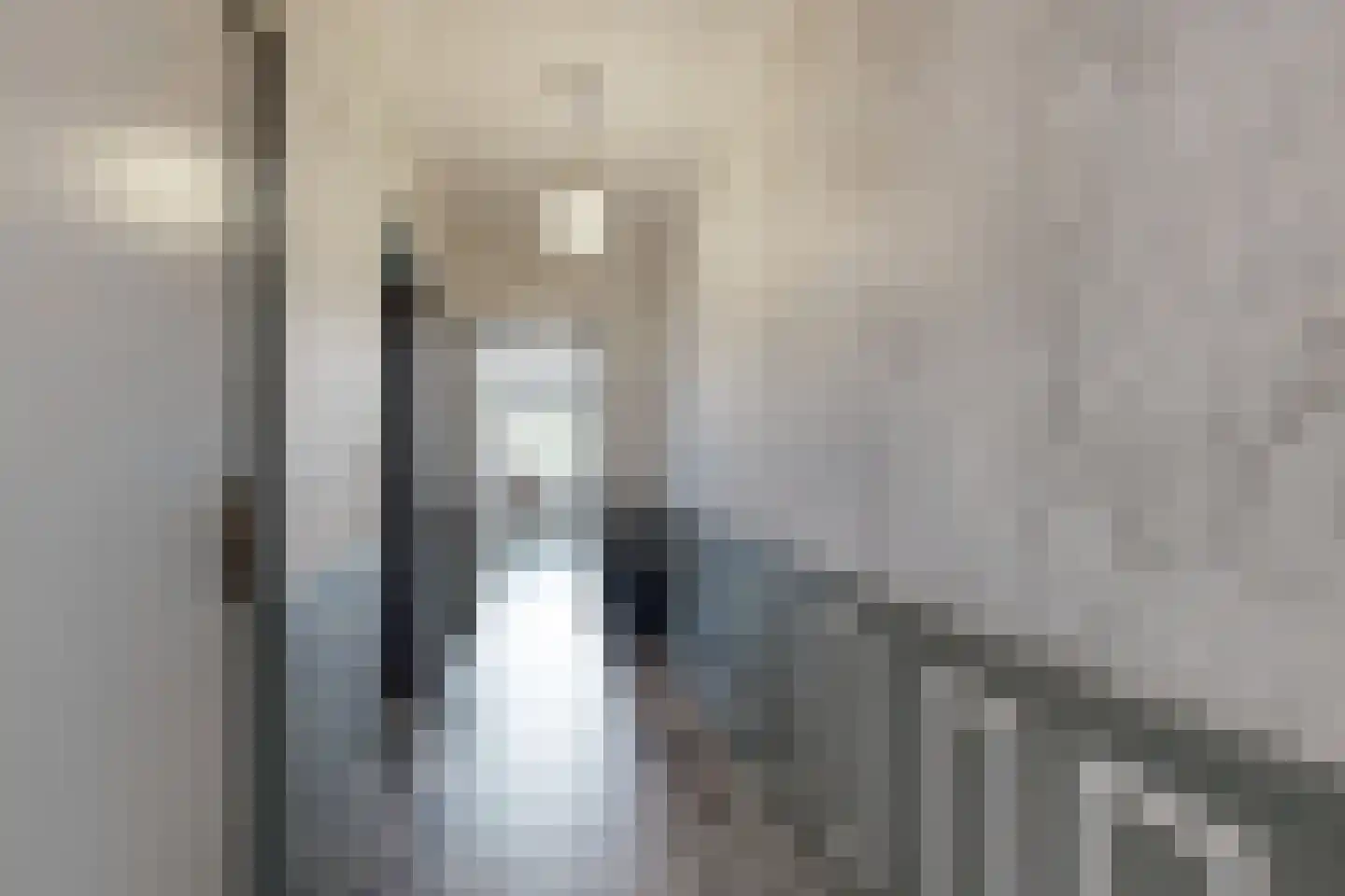 Bredaschedijk 4 Zevenbergschen Hoek thumbnail 8