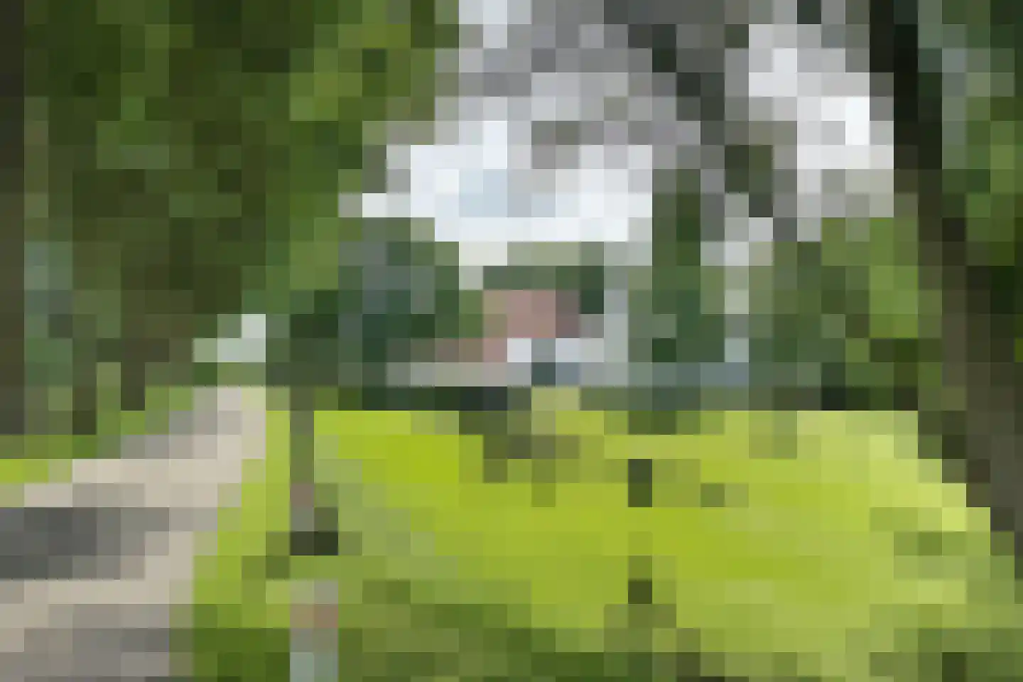 Bredaschedijk 4 Zevenbergschen Hoek thumbnail 83