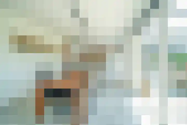Bredasebaan 24 Sprundel thumbnail 16