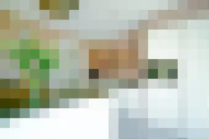 Bredasebaan 24 Sprundel thumbnail 18