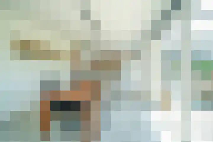 Bredasebaan 24 Sprundel thumbnail 4