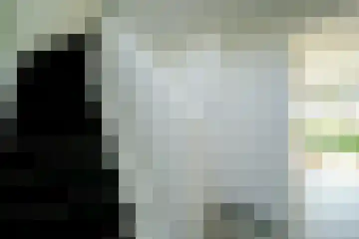 Bredasebaan 24 Sprundel thumbnail 7