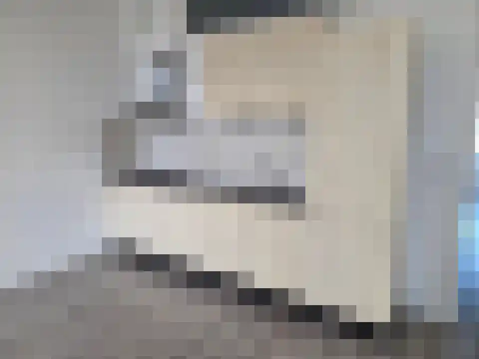Bredasestraat 10 Bergen op Zoom thumbnail 5