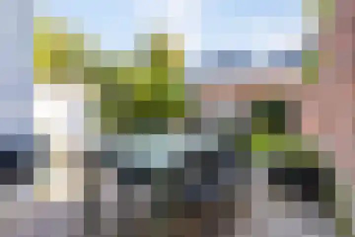 Bredasestraat 46 Bergen op Zoom thumbnail 15