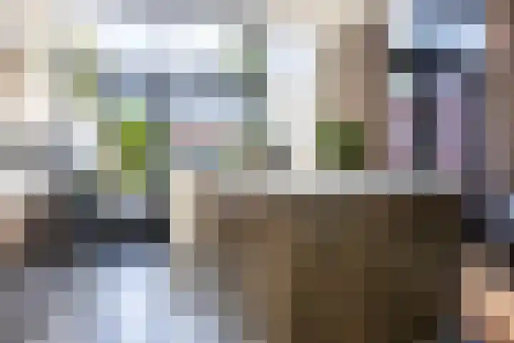 Bredasestraat 46 Bergen op Zoom thumbnail 19
