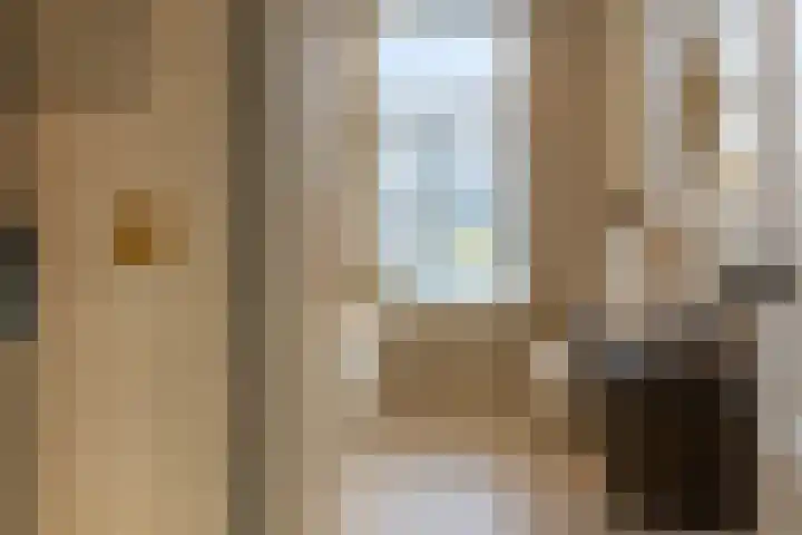 Bredasestraat 46 Bergen op Zoom thumbnail 27