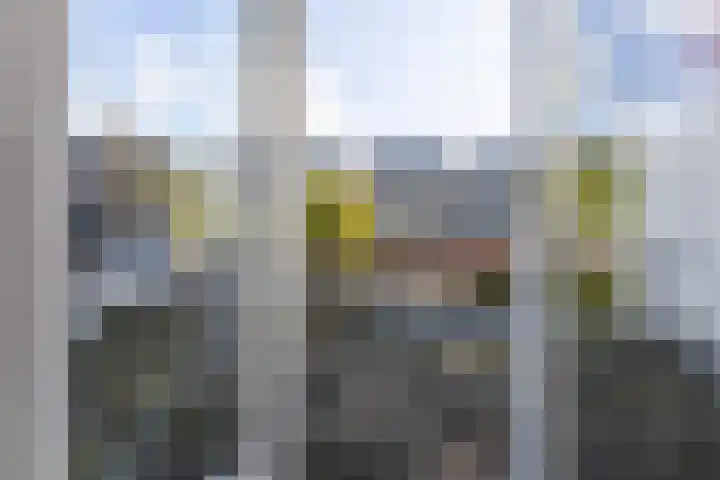 Bredasestraat 46 Bergen op Zoom thumbnail 36