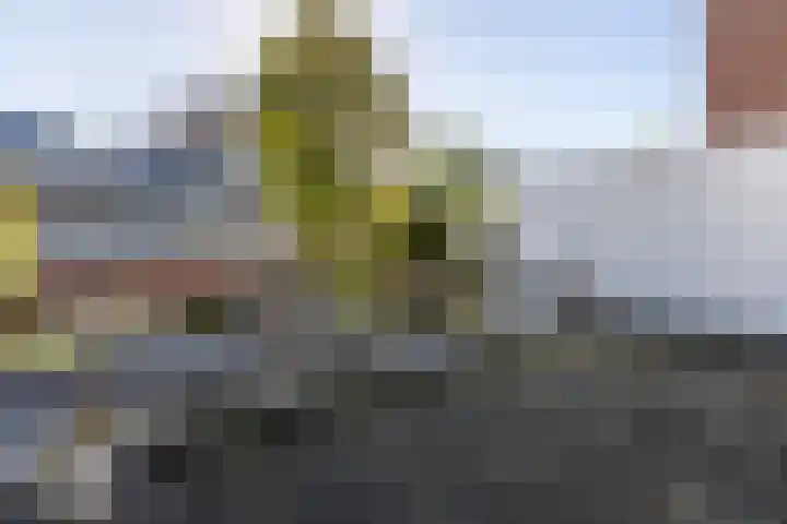 Bredasestraat 46 Bergen op Zoom thumbnail 37
