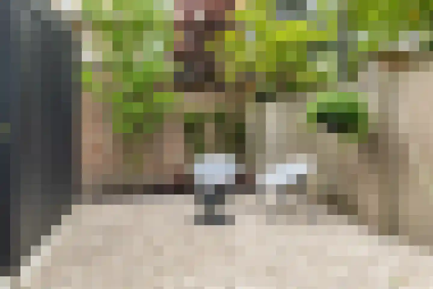 Bredasestraat 70 Bergen op Zoom thumbnail 16