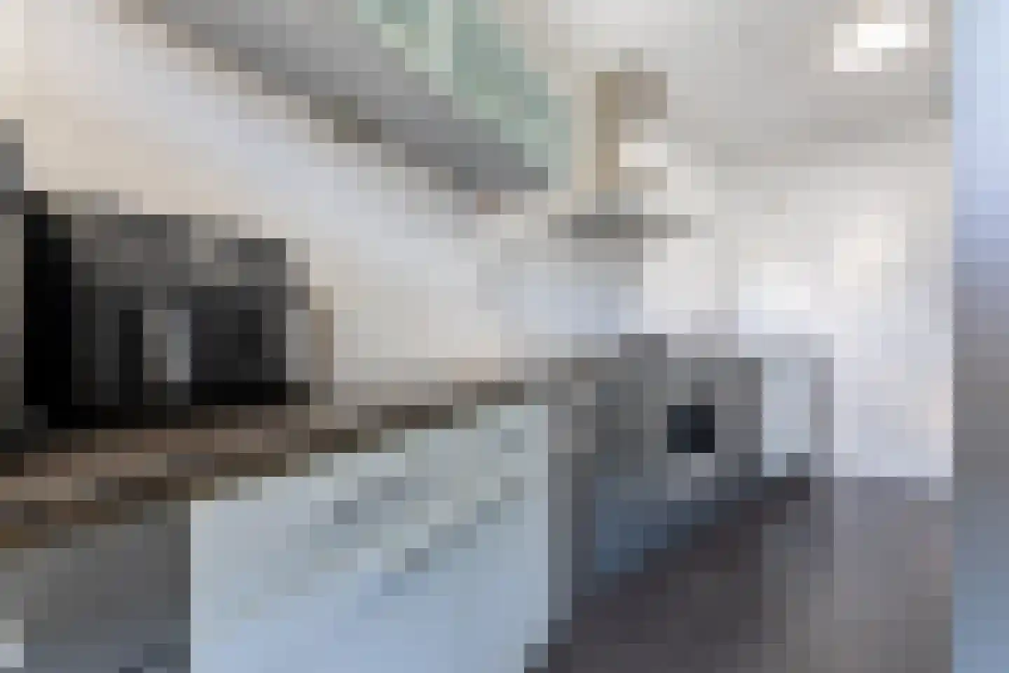 Bredasestraat 88 Bergen op Zoom thumbnail 14