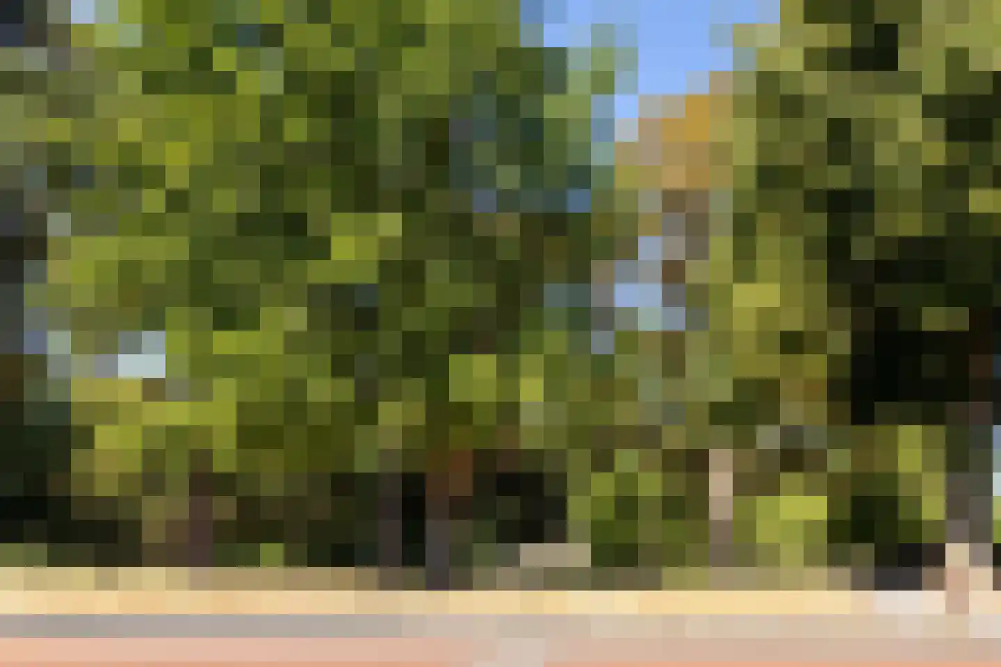 Bredasestraat 88 Bergen op Zoom thumbnail 39