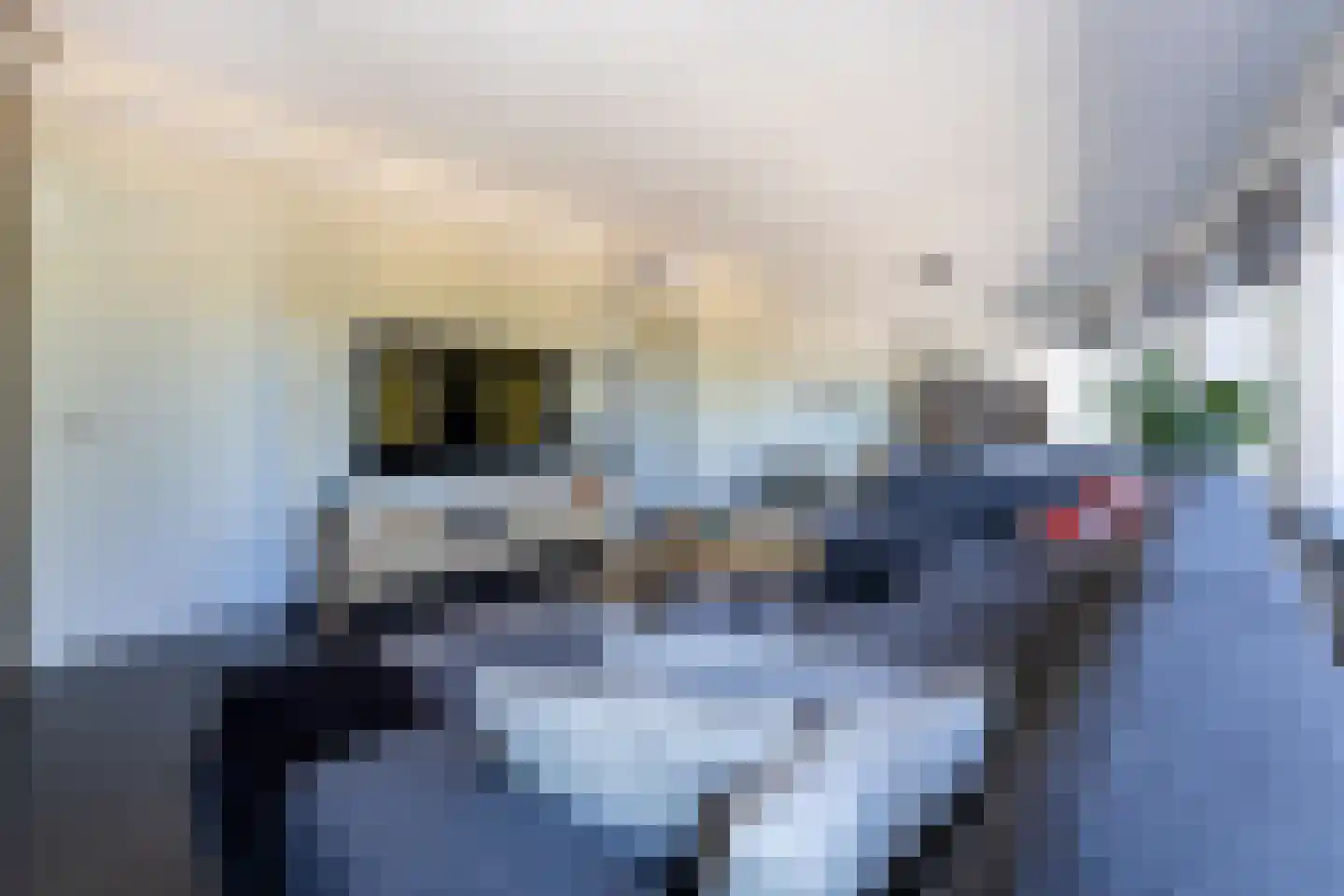 Bredasestraat 88 Bergen op Zoom thumbnail 7