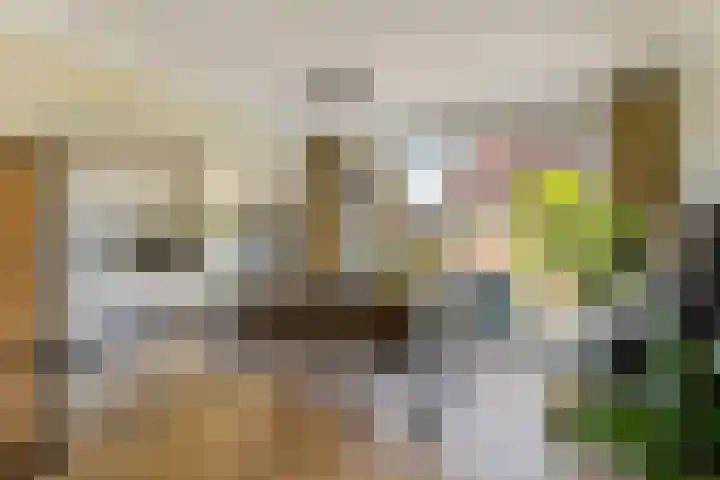 Bredaseweg 1 Rijsbergen thumbnail 11