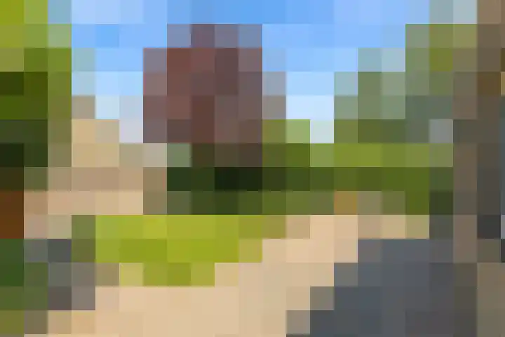 Bredaseweg 1 Rijsbergen thumbnail 27