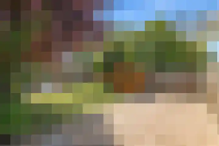 Bredaseweg 1 Rijsbergen thumbnail 29