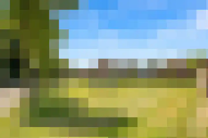 Bredaseweg 1 Rijsbergen thumbnail 34