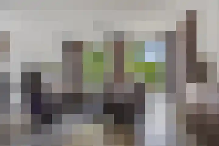 Bredaseweg 10 a 8 Zundert thumbnail 13