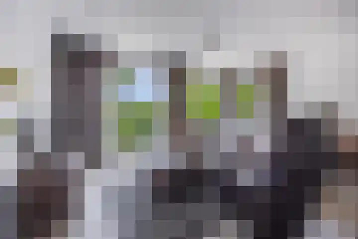 Bredaseweg 10 a 8 Zundert thumbnail 14