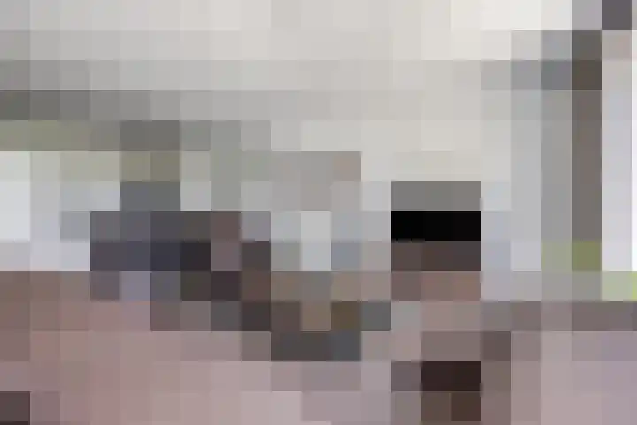 Bredaseweg 10 a 8 Zundert thumbnail 16