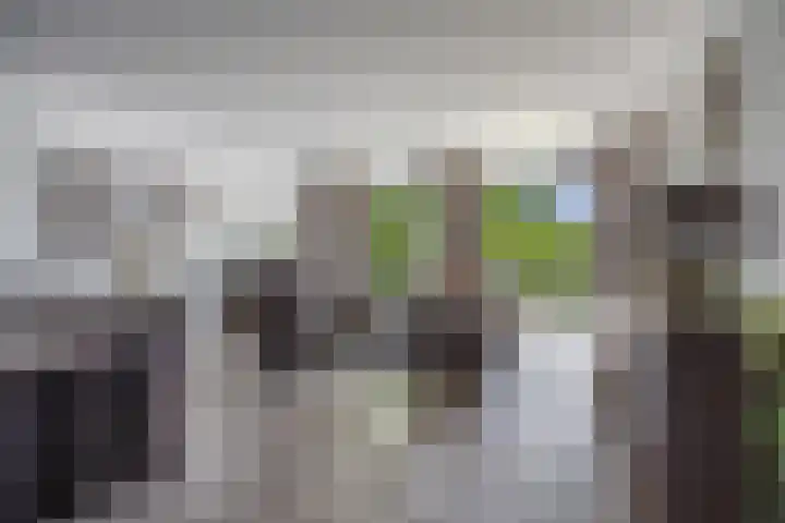 Bredaseweg 10 a 8 Zundert thumbnail 17