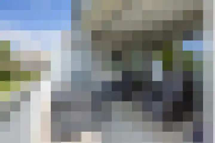 Bredaseweg 10 a 8 Zundert thumbnail 30