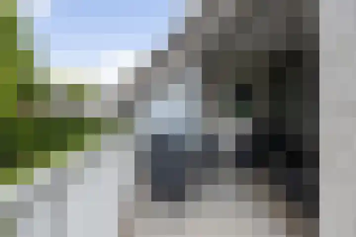 Bredaseweg 10 a 8 Zundert thumbnail 31