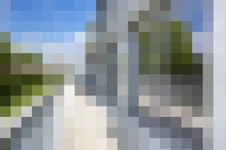 Bredaseweg 10 a 8 Zundert thumbnail 32
