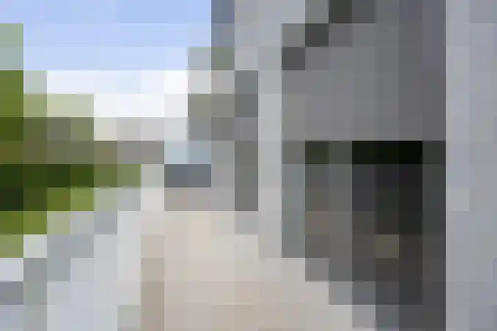 Bredaseweg 10 a 8 Zundert thumbnail 33