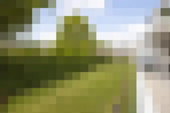 Bredaseweg 10 a 8 Zundert thumbnail 34