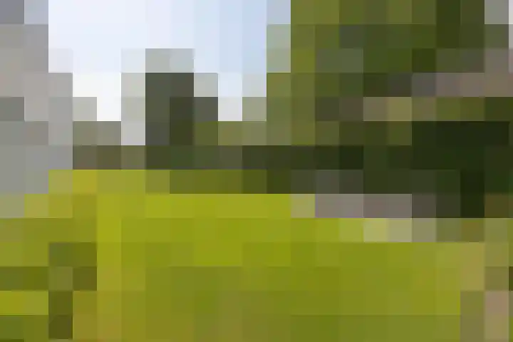 Bredaseweg 10 a 8 Zundert thumbnail 35