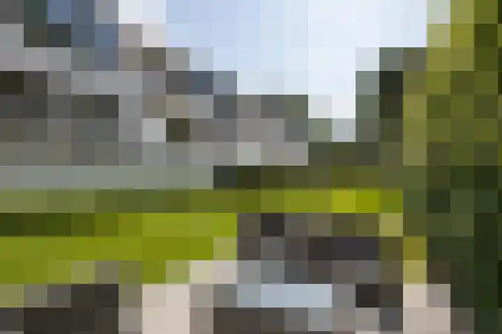 Bredaseweg 10 a 8 Zundert thumbnail 36