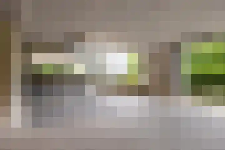 Bredaseweg 10 a 8 Zundert thumbnail 41