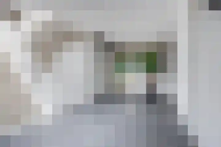 Bredaseweg 10 a 8 Zundert thumbnail 7