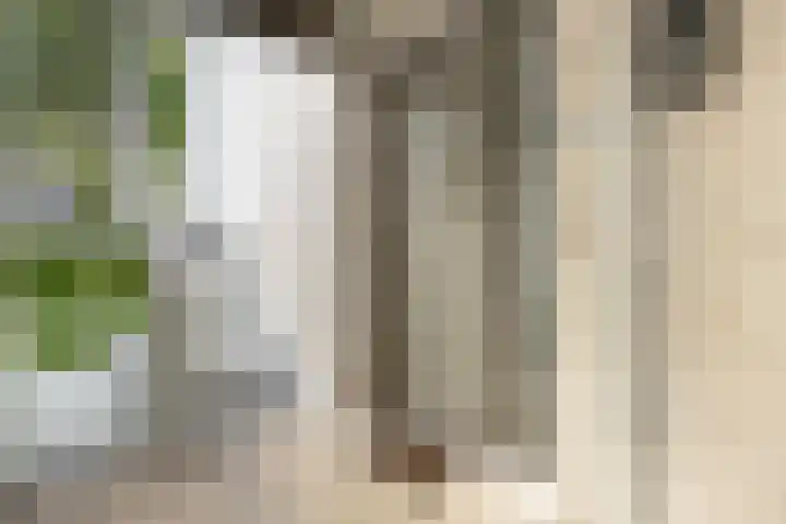 Bredaseweg 10 a 8 Zundert thumbnail 8