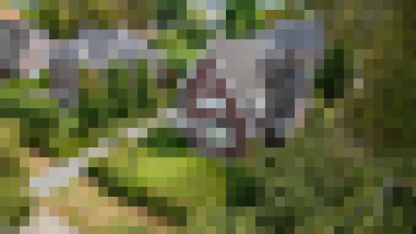 Bredaseweg 12 a Zundert thumbnail 6