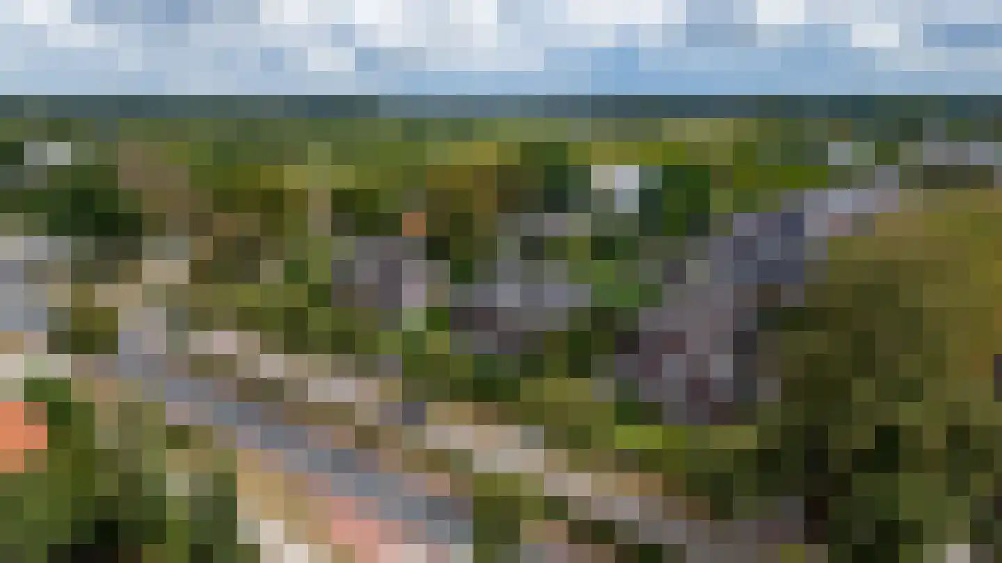 Bredaseweg 12 a Zundert thumbnail 60