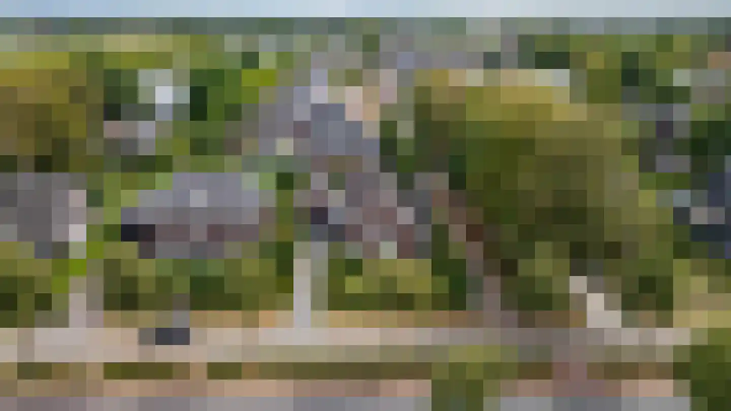 Bredaseweg 12 a Zundert thumbnail 61