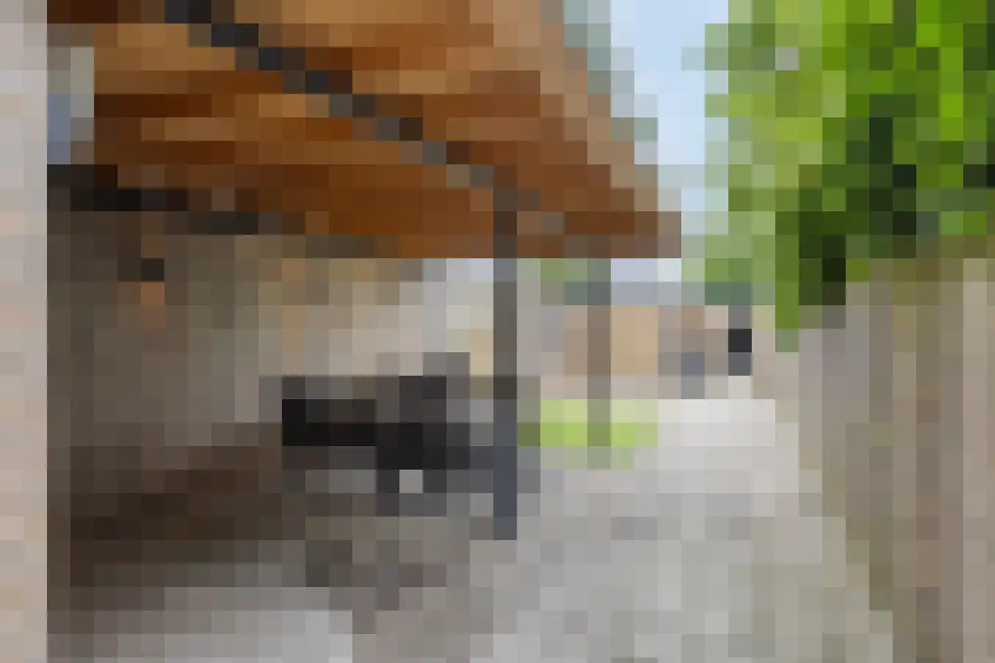 Bredaseweg 127 Tilburg thumbnail 36